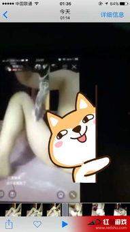 女主播黄鳝视频大全